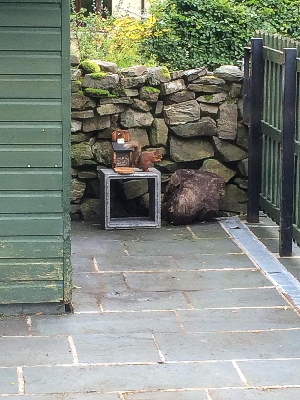 Lords Seat Bed & Breakfast ケズィック エクステリア 写真